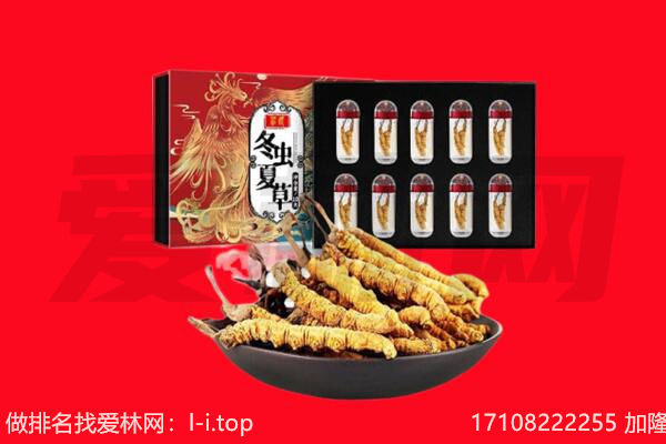 通化市集安回收虫草.jpg